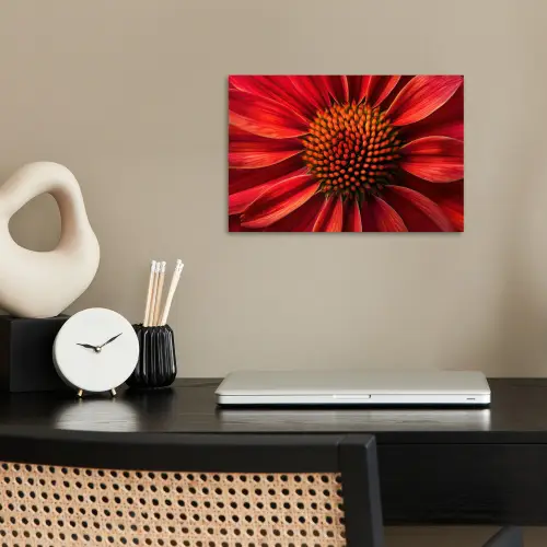 Close up - Bloem- Rood poster papier klein -sfeer1