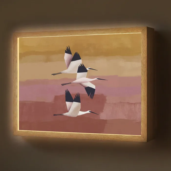 Vogels - Snavel - Abstract Light Box met batterij (Wandlamp) middel -z3d_website