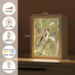 Putter - Bloesem - Lente - Natuur - Kleurrijk Light Box met kabel (Kinderlampje) klein -USP_FR