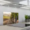 Druiven - Wijngaard - Zonlicht keuken achterwand spatscherm klein -3d_schuin