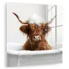 Schotse Hooglander - Bad - Koe - Dieren - Schuim plexiglas 5mm klein -zzzproduct_nieuw