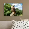 Uil - Boomstronk - Bos - Lucht canvas 2cm klein -sfeer3
