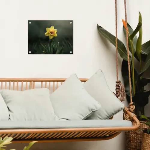 Bloem - Narcis - Gras - Geel tuinposter los doek klein -sfeer7