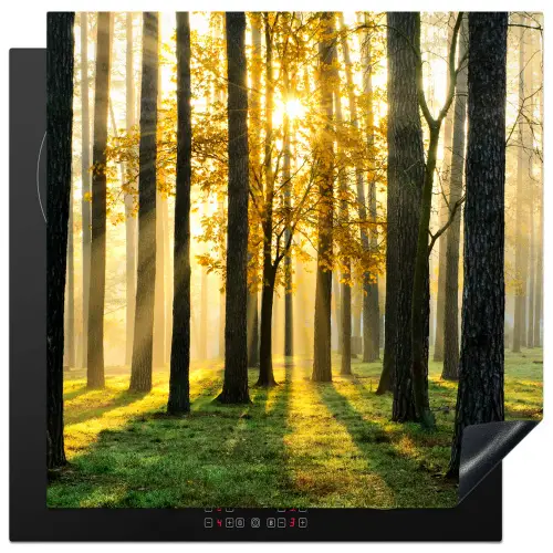 Bos - Zon - Bomen - Gras - Landschap  - Natuur Inductie beschermer vinyl 3mm middel -3d