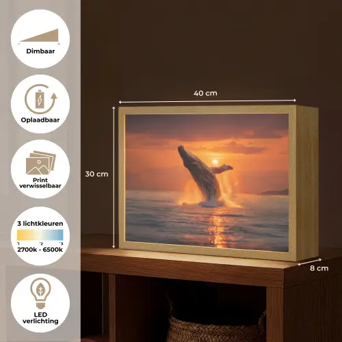 Walvis - Zon - Zee Light Box met batterij (Wandlamp) middel -USP_websiteoverzichtNL