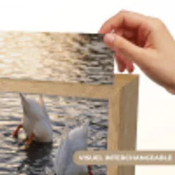 Eenden - Water - Natuur Light Box met kabel (Kinderlampje) klein -USP_websiteprintFR