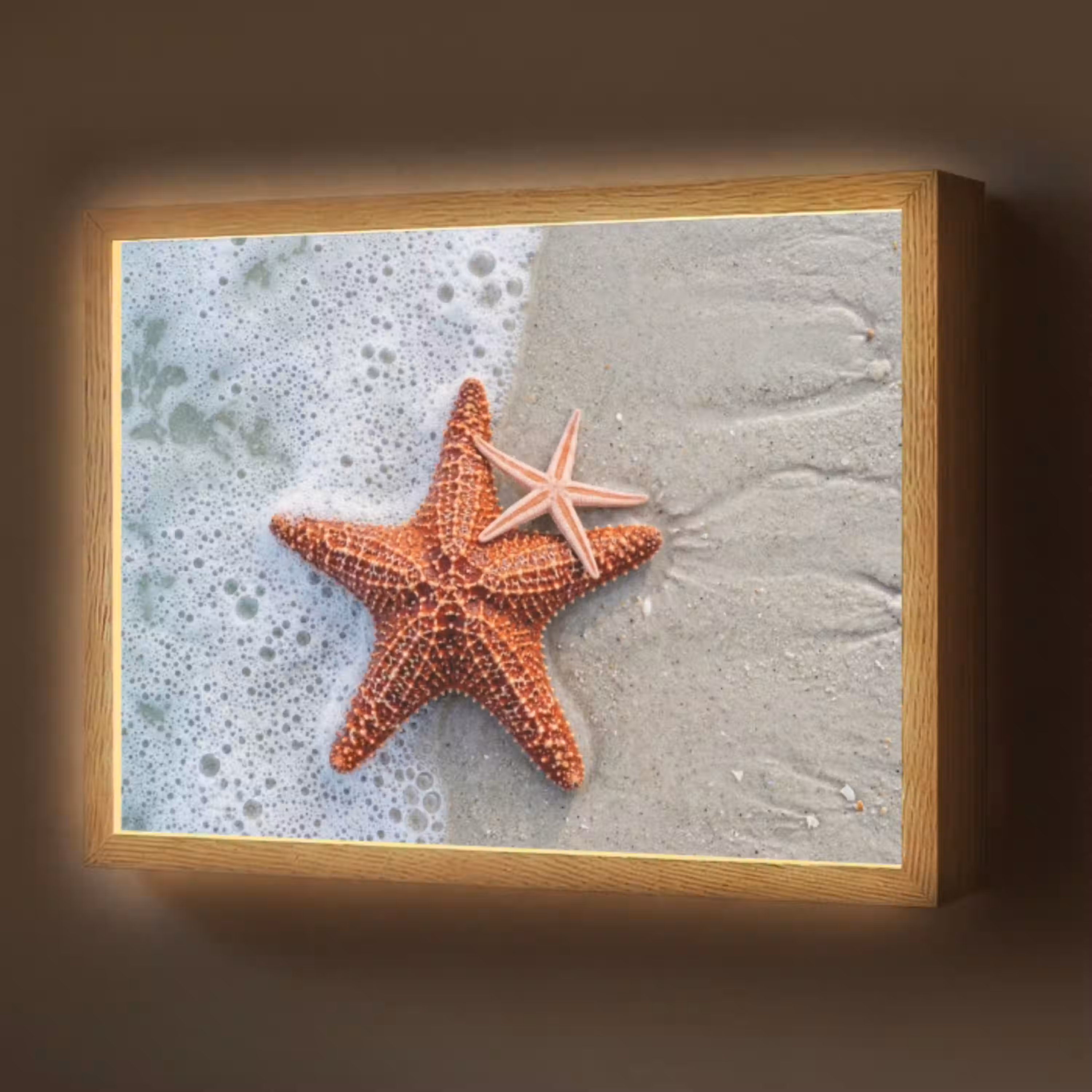 Zeester - Strand - Zee Light Box met batterij (Wandlamp) middel -z3d_website