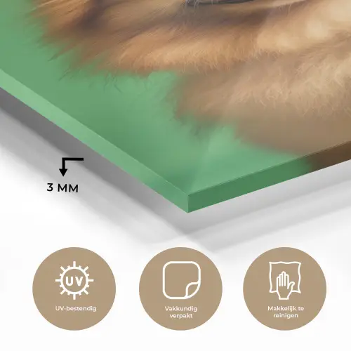 Hond - Zonnebril - Valentijn - Love plexiglas 5mm klein -sfeer2