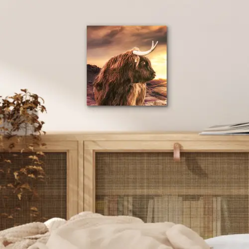 Schotse hooglander - Zon - Horizon - Koe - Dieren aluminium wit klein -sfeer3