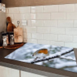 Roodborstje - Tak - Sneeuw - Winter - Levendig Inductie beschermer vinyl 3mm klein -sfeer3