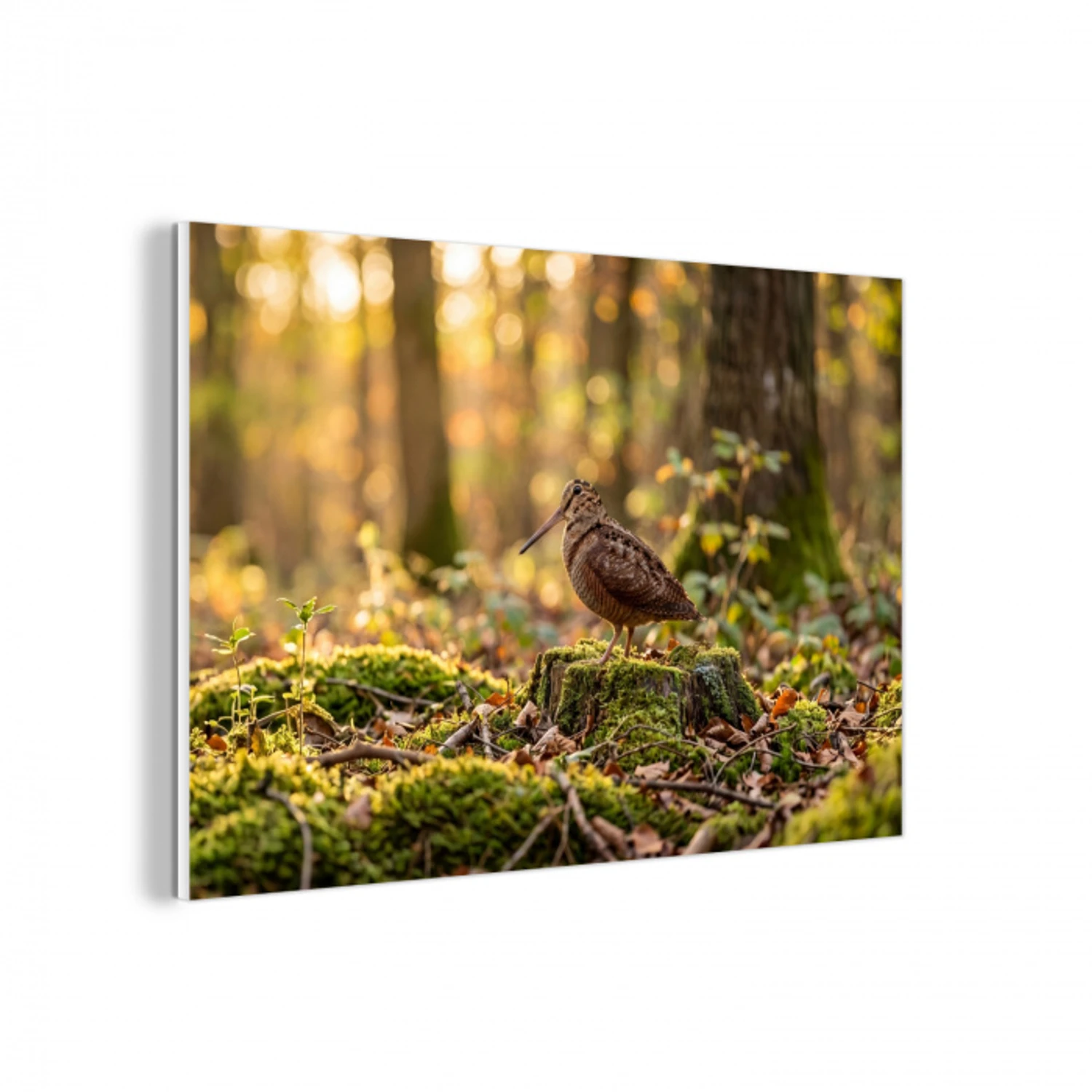 Houtsnip - Bos - Bladeren - Herfst - Gecamoufleerd forex 5mm xxl -3d