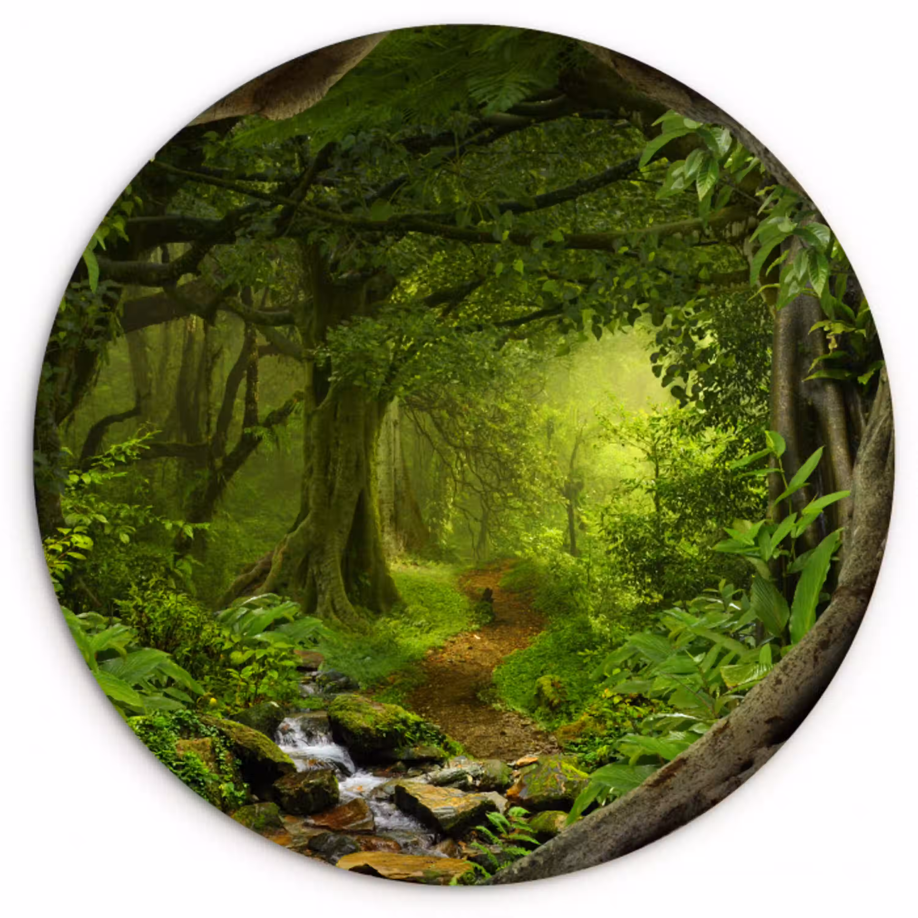 Jungle - Groen - Natuur - Tropisch - Planten Wandcirkel kunststof plaat 5mm dik klein -3d