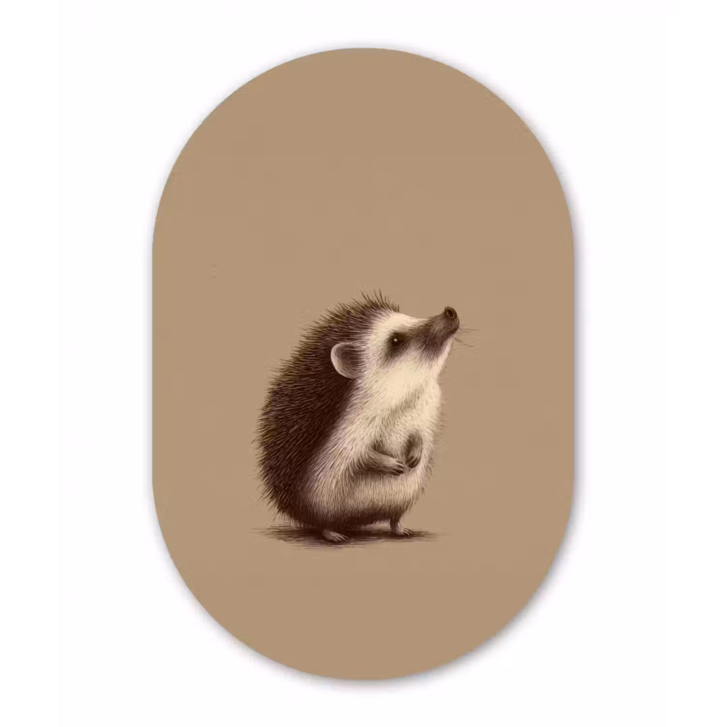 Glasbild Oval - Igel - Schnauze - Braun - Stacheln