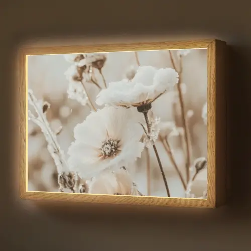 Bloemen - Winter - Wit - Sneeuw - Beige Light Box met batterij (Wandlamp) middel -z3d_website