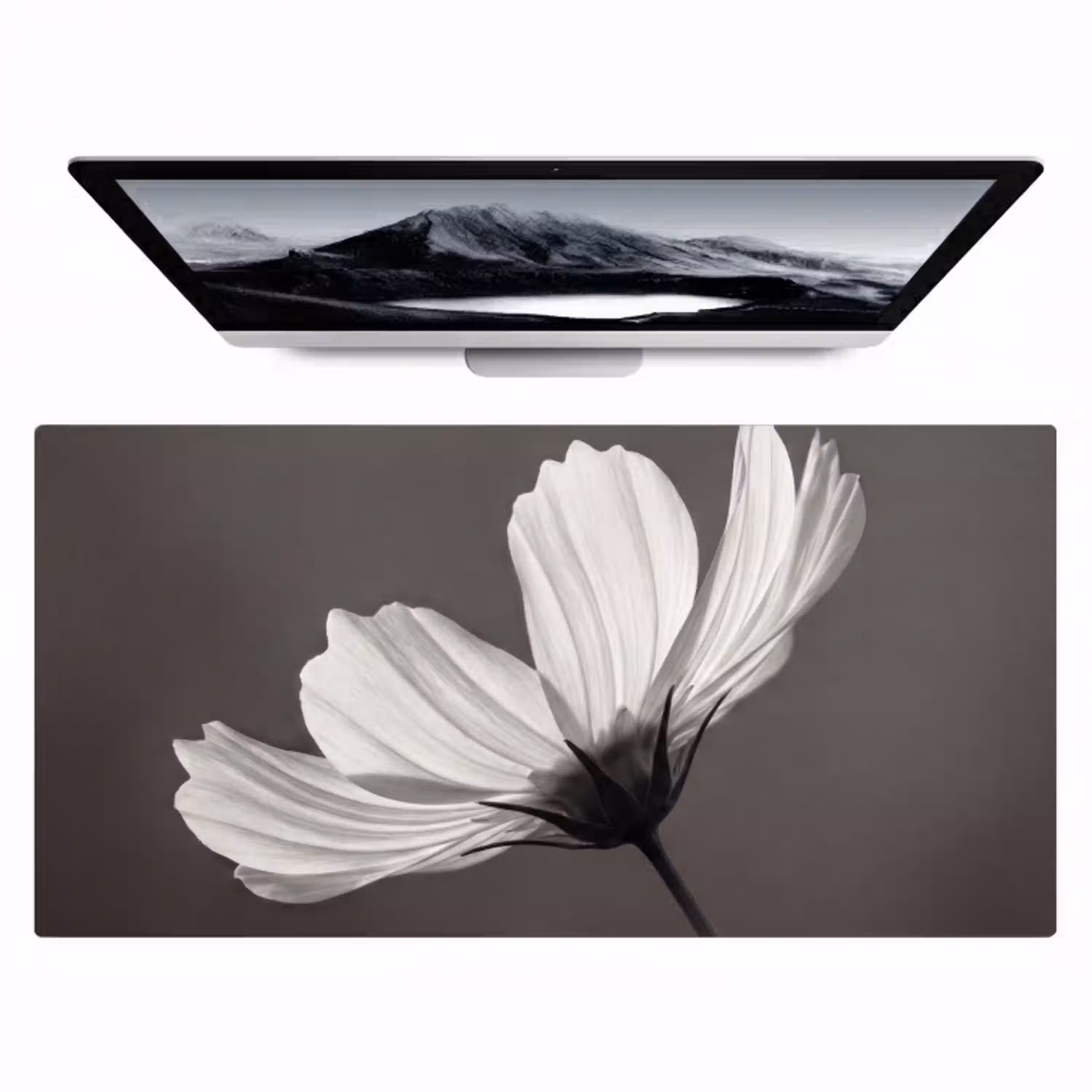 Bloem - Minimalistisch - Zwart - Wit Muismat XXL klein -zzz3d