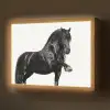 Fries - Hengst - Modern Light Box met batterij (Wandlamp) middel -z3d_website