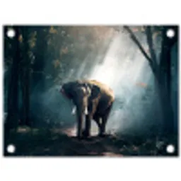 Olifant - Dieren - Licht - Bos - Natuur - Wilde dieren tuinposter los doek klein -3d