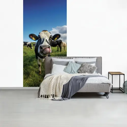 Koe - Tong - Weide fotobehang vinyl groot -slaapkamer