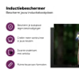 Buizerd - Roofvogel - Natuur - Bruin Inductie beschermer vinyl 3mm klein -zzzzzzz-cc-usp