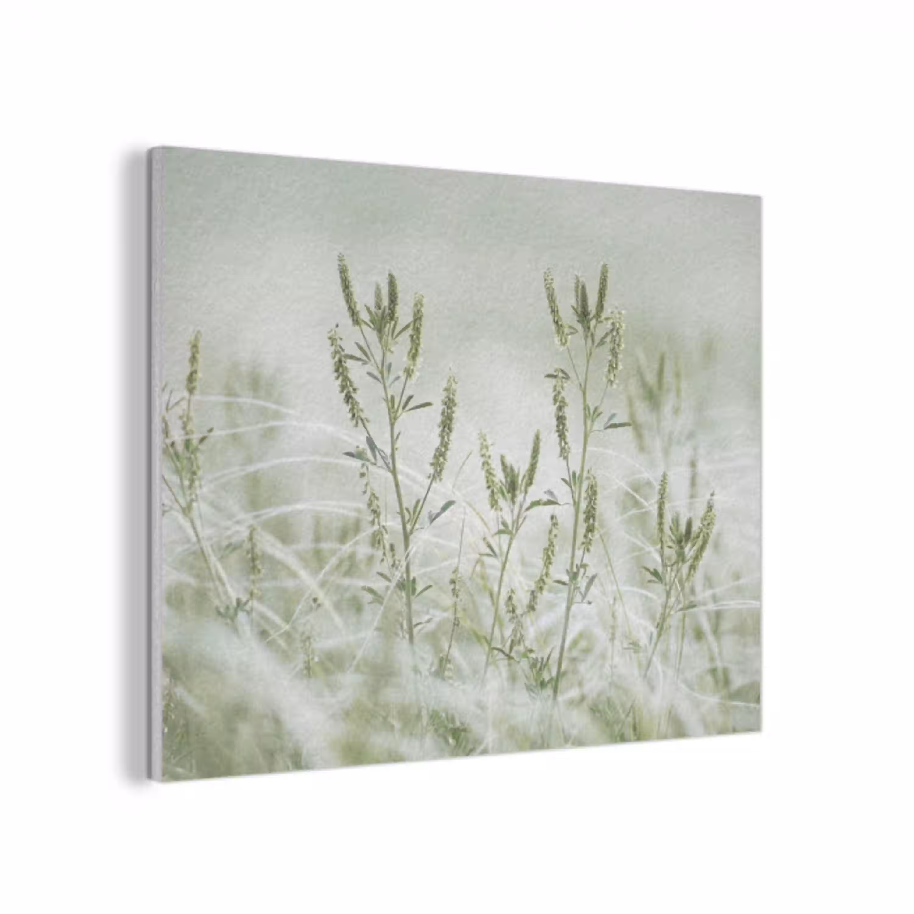 Grassen - Minimalistisch - Groen PET vilt klein -3d