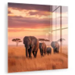 Groep olifanten - Open vlakte - Zon plexiglas 5mm klein -zzzproduct_nieuw