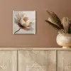 Bloem - Beige - Crème plexiglas 5mm klein -sfeer5