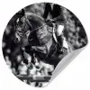 Springen - Paard - Zwart - Wit Wandcirkel behangsticker klein -3d