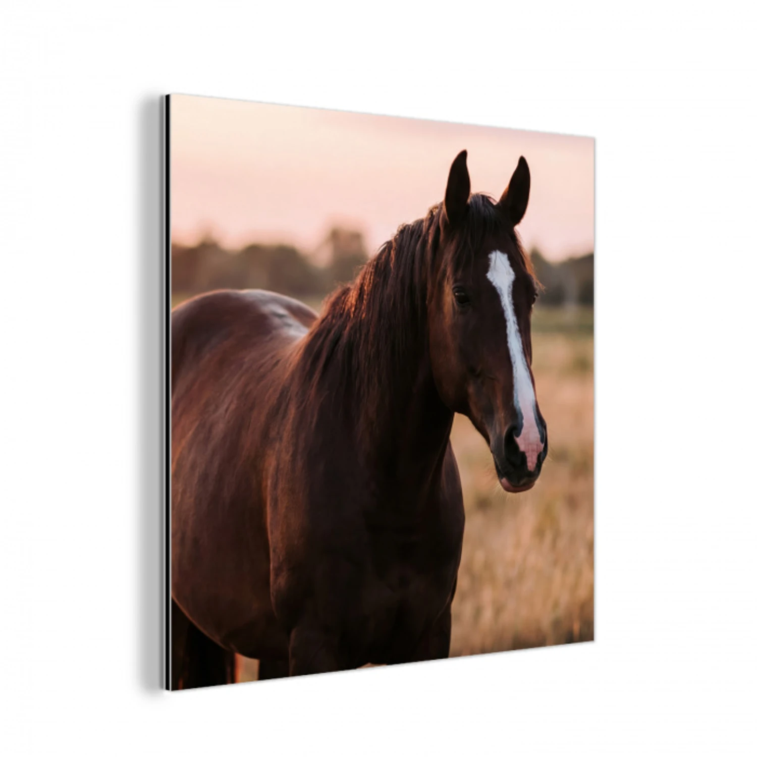 Paard - Zonsondergang - Bruin aluminium wit klein -3d
