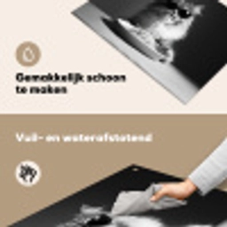 Langharige kat - Zonnebril - Spaghetti - Humor - Zwart - wit Inductie beschemer met haakjes klein -ky-schoon-nl