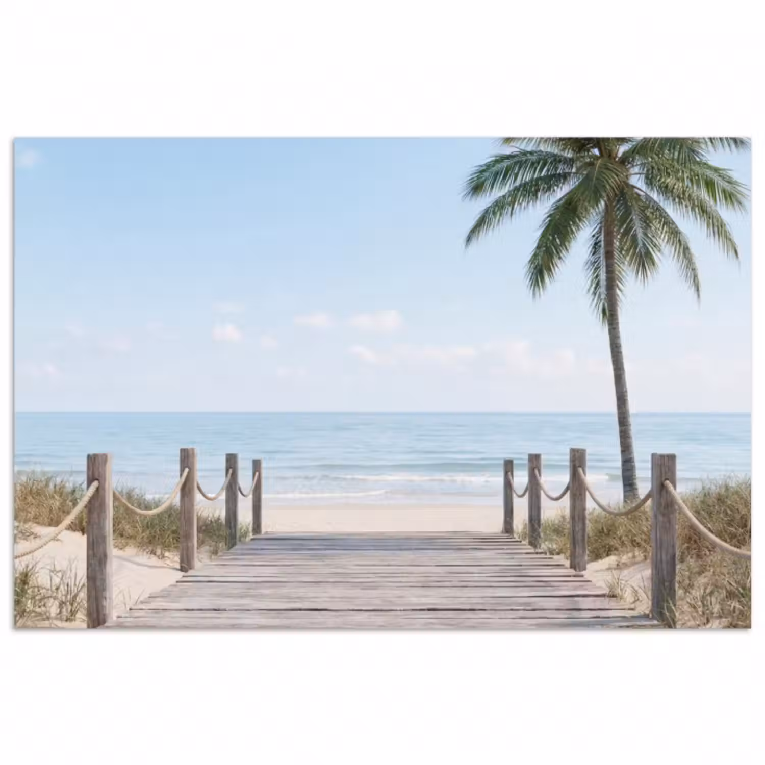 Poster - Palmen - Weg - Horizont