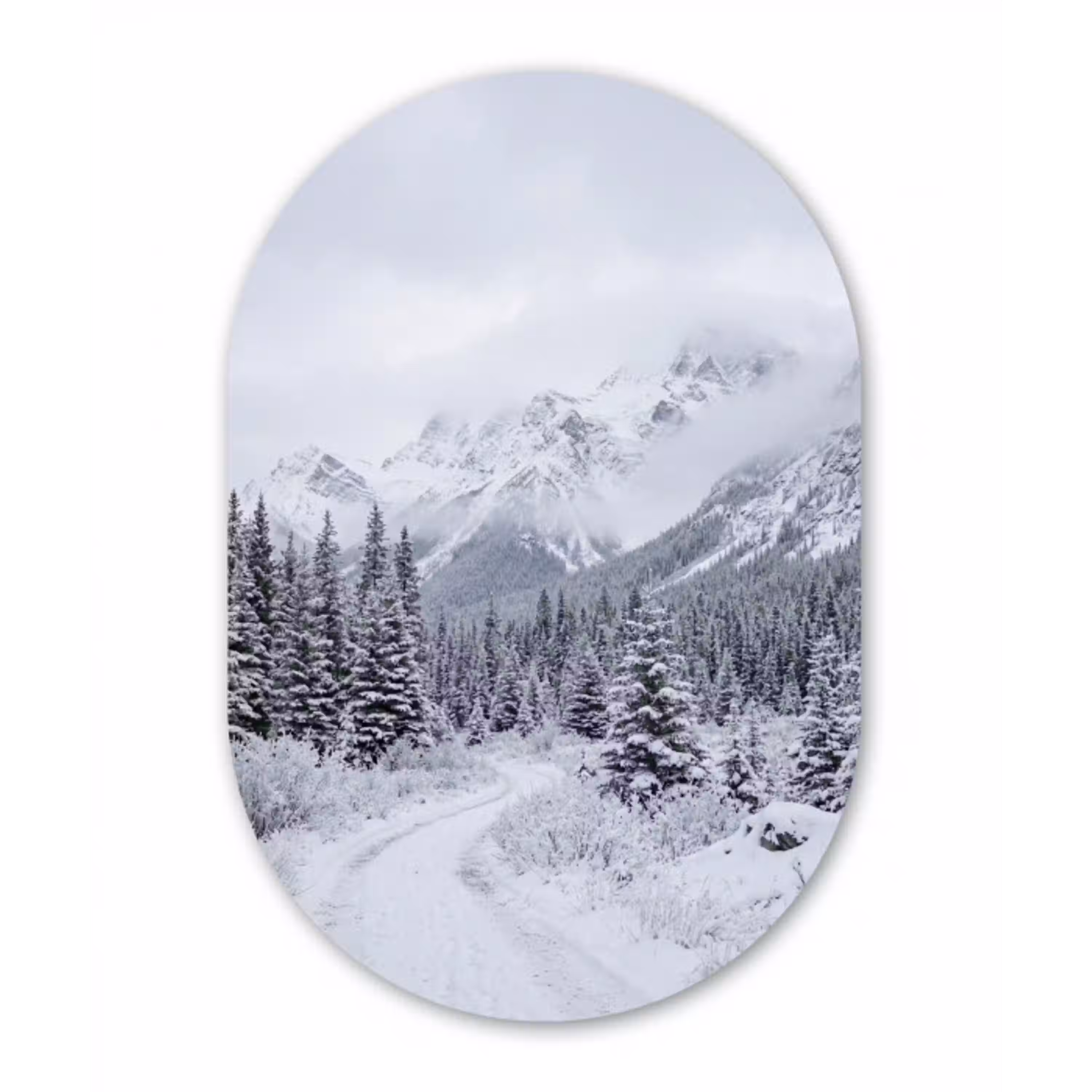 Weg - Bergen - Sneeuw - Naaldbos - Avontuurlijk Wandcirkel Ovaal Aluminium middel -3d