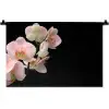 Orchidee - Bloemen - Roze - Stilleven - Flora Wandkleed katoen klein -zz3d