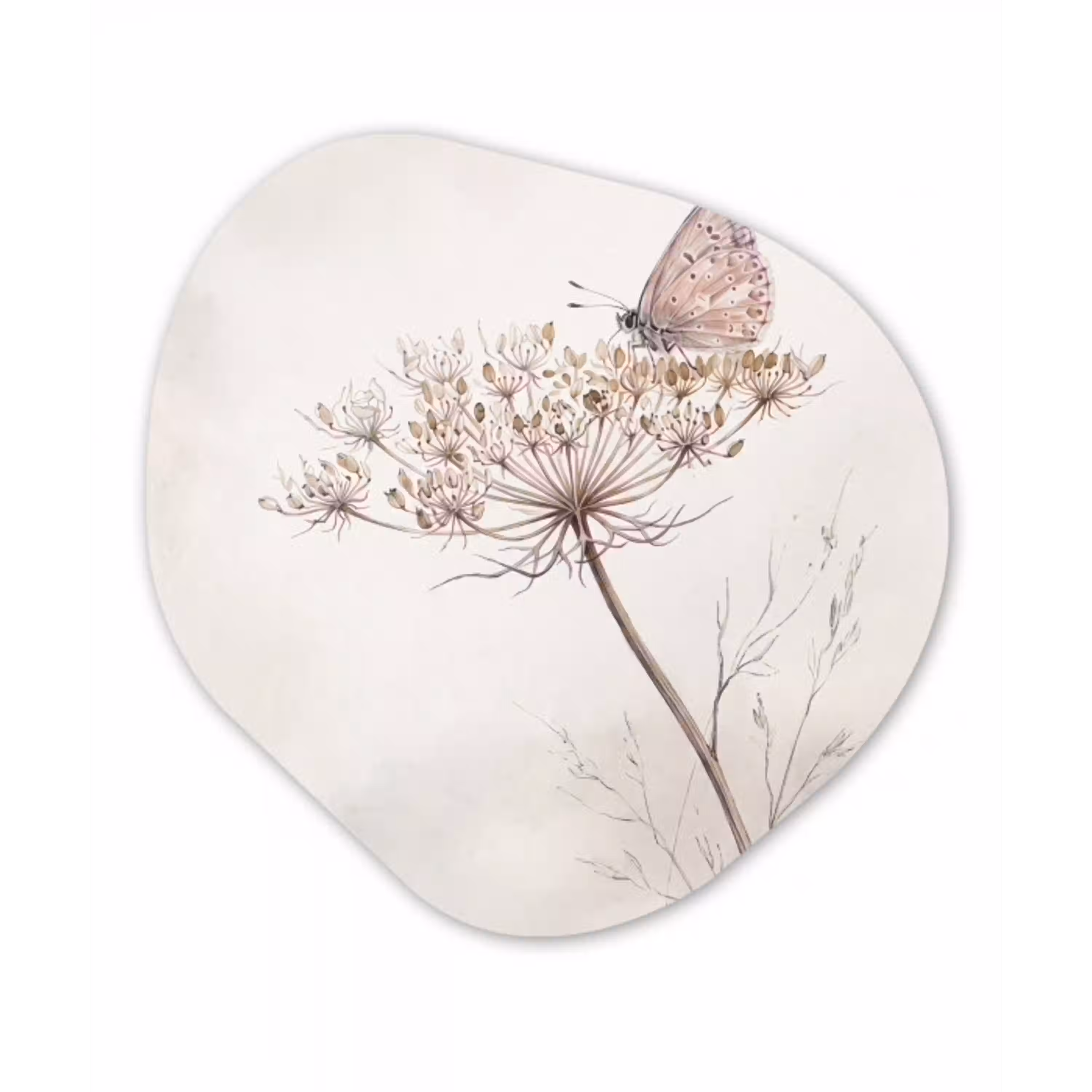 Vlinder - Bloem -Natuur - Beige Wandcirkel Organisch Forex 3mm klein -3d