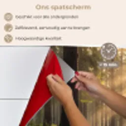 Bos - Zonlicht - Gras keuken achterwand spatscherm klein -spatscherm_NL