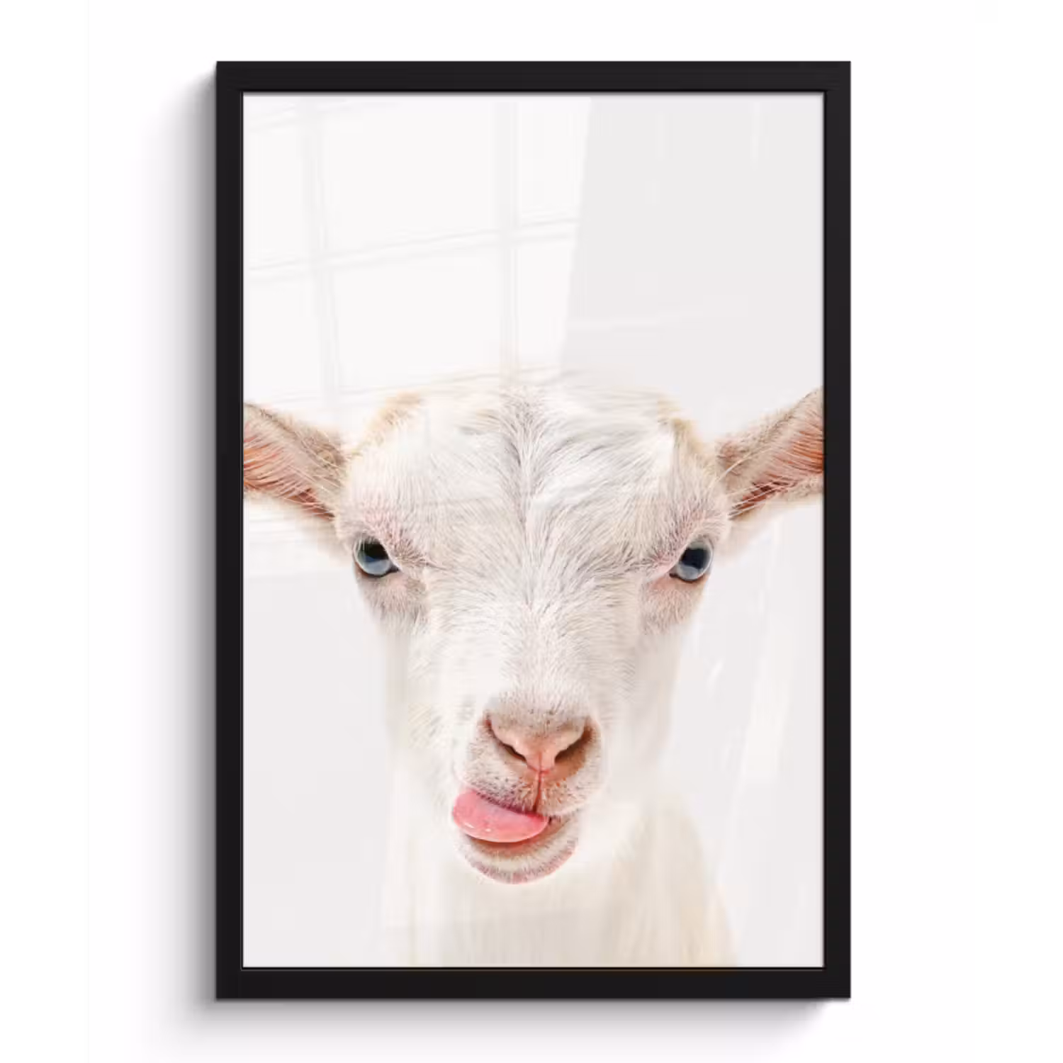 Poster met lijst - Geit - Portret - Jongen - Meisjes - Kids - Wit