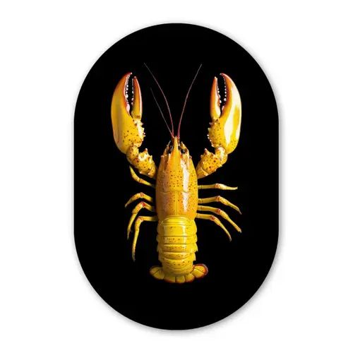 Kreeft - Geel - Stippen - Effen Wandcirkel Ovaal Glas middel -3d