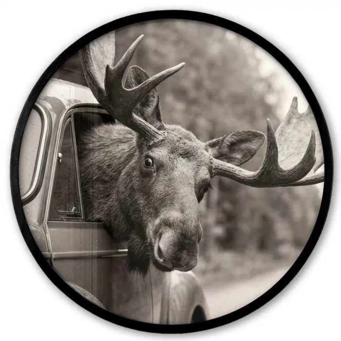 Eland - Auto - Gewei - Zwart - Wit Fotolijst rond zonder passe partout klein -3d