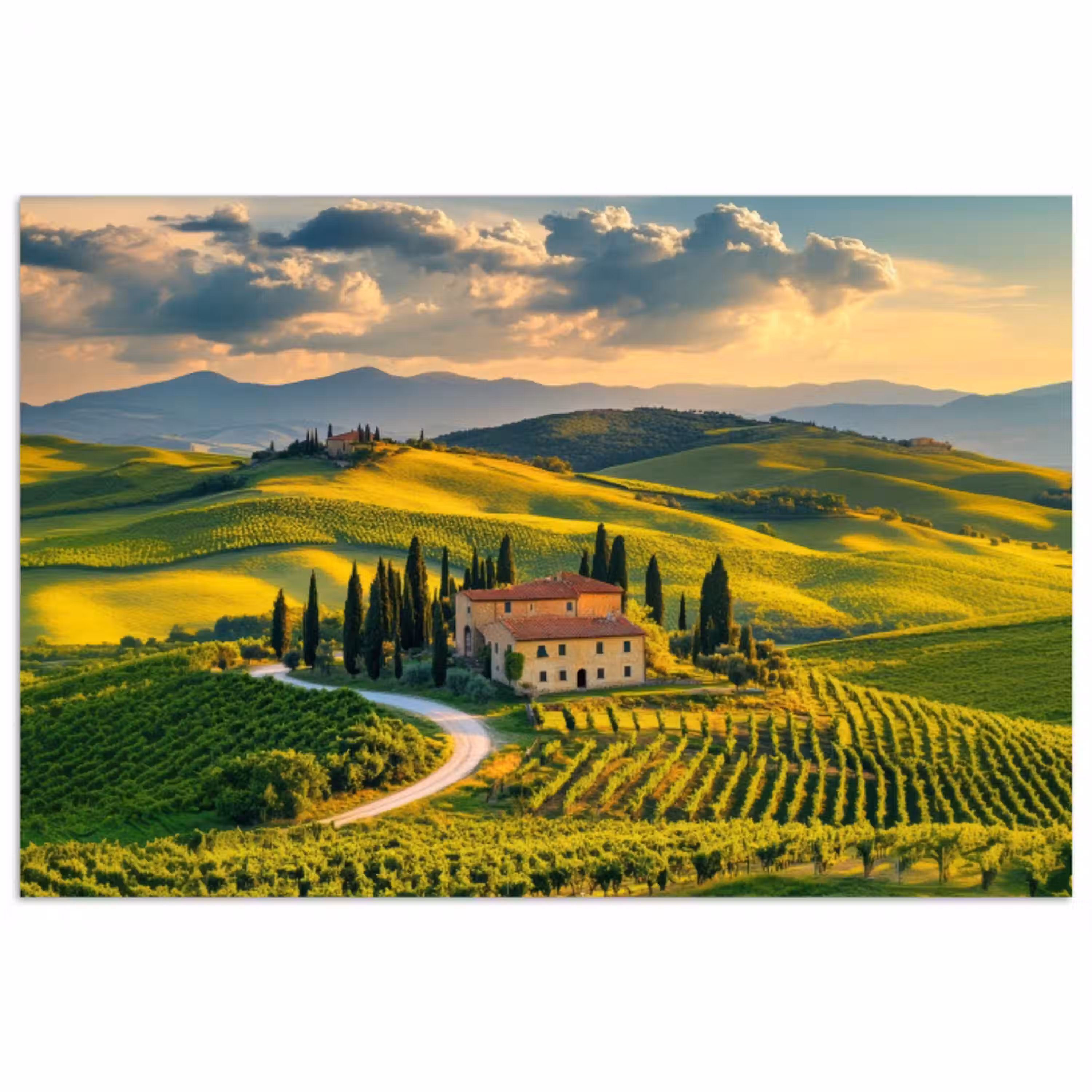 Toscane - Landschap - Wijngaarden poster papier klein -3d