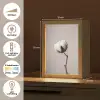 Katoenbol - Minimalistisch - Wit Light Box met kabel (Tafellamp) klein -USP_NL