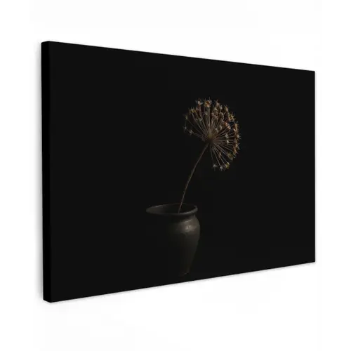 Bol - Gedroogd - Vaas - Zwart canvas 2cm klein -z3d