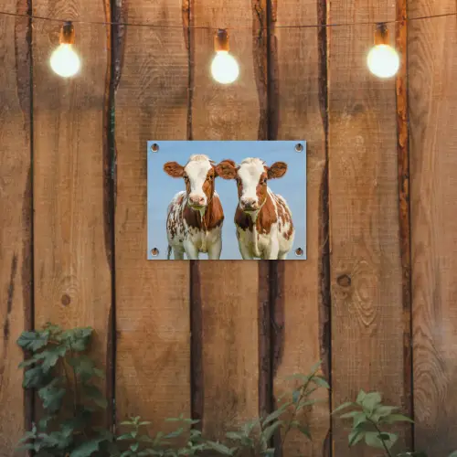 Koeien - Lucht - Dieren - Boerderij - Portret tuinposter los doek klein -sfeer1