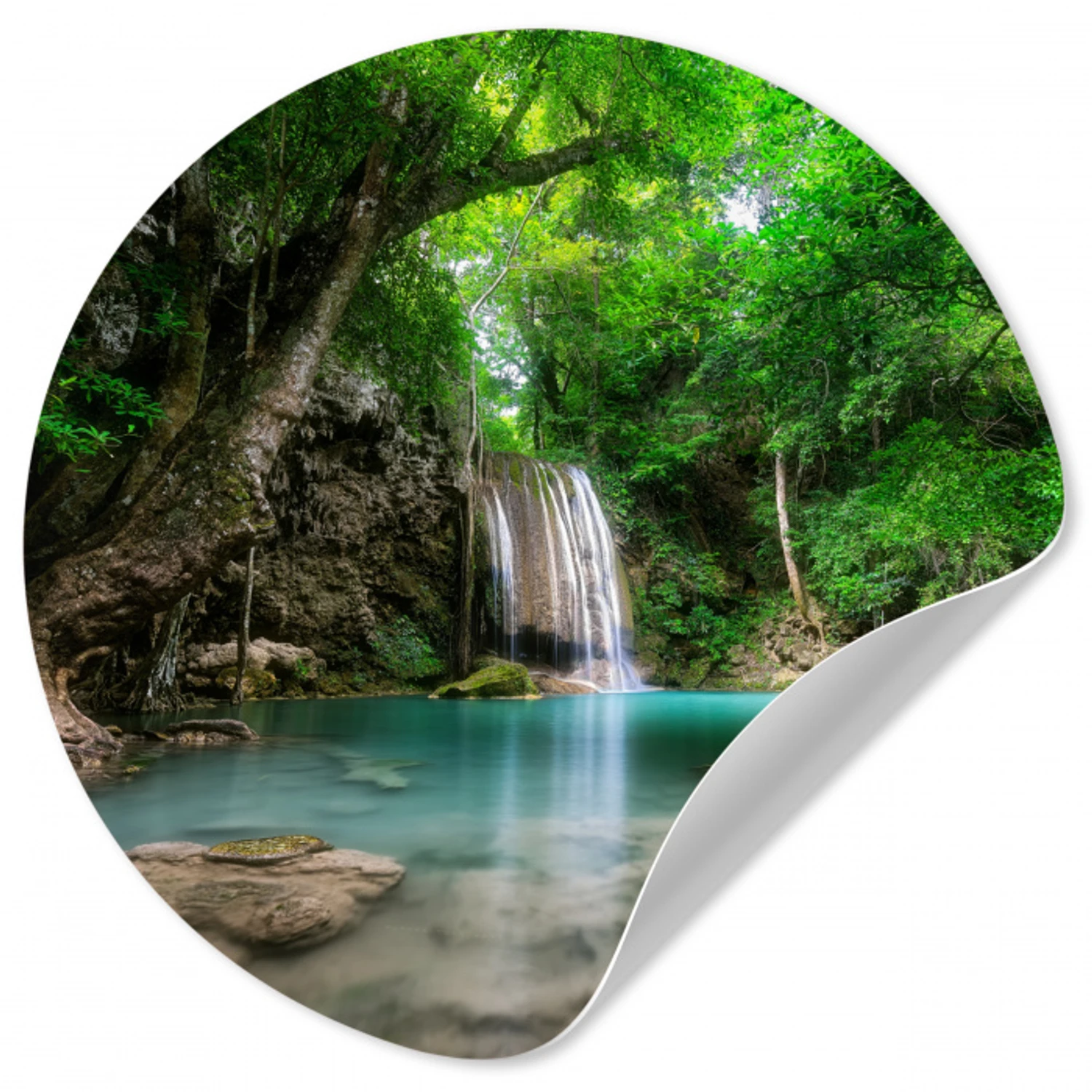 Jungle - Waterval - Planten - Water - Natuur Wandcirkel behangsticker klein -3d
