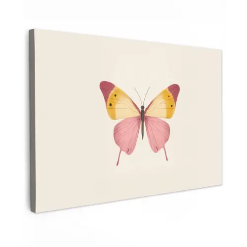Vlinder - Illustratie - Roze Tuinposter op houten frame 2 cm dik klein -3d