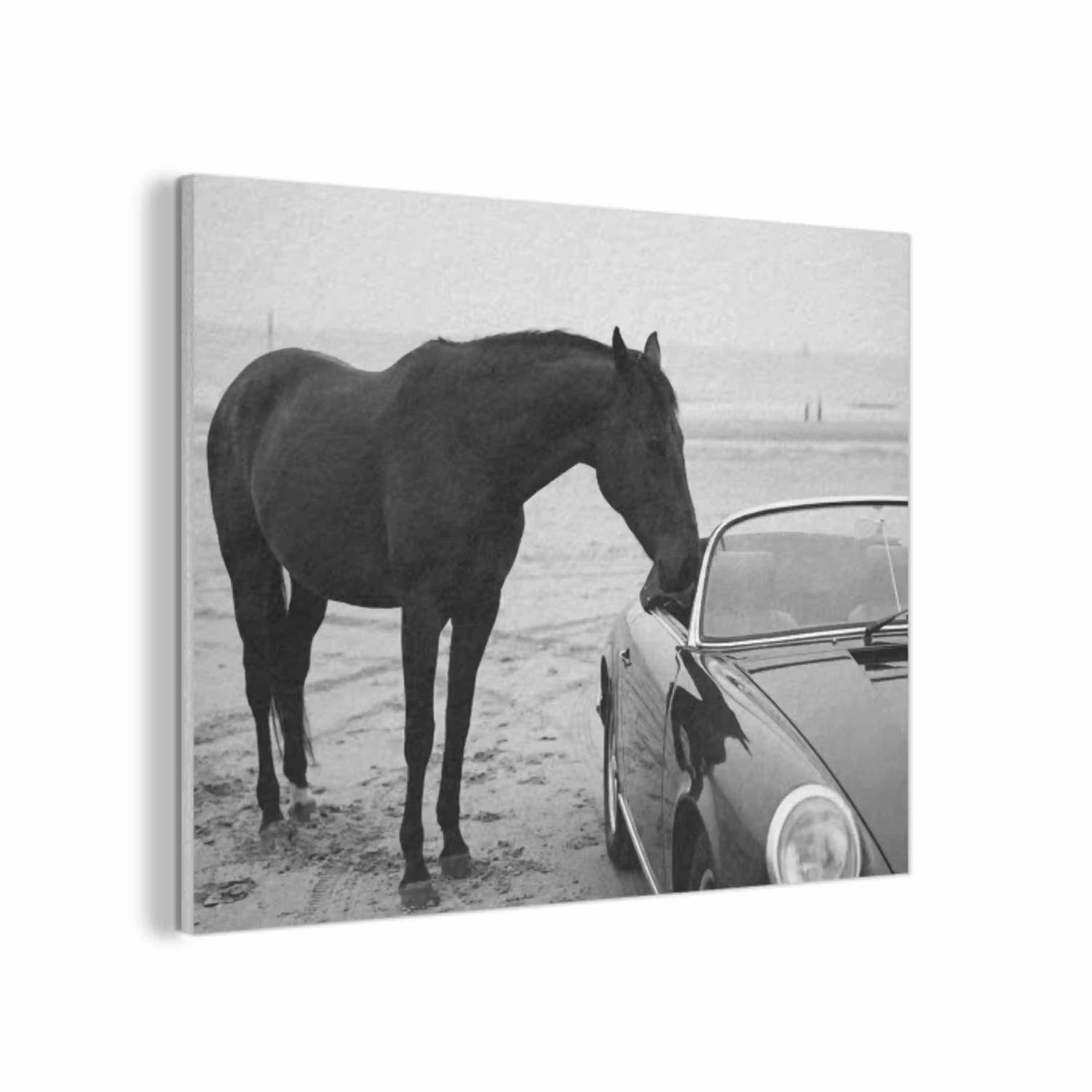 Paard - Auto - Zwart - Wit PET vilt klein -3d
