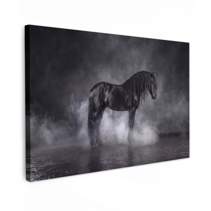 Paard - Magisch - Zwart Tuinposter op houten frame 2 cm dik klein -3d