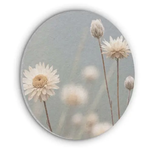Strobloemen - Wit - Daglicht Akoestische PET Vilt - Rond klein -3d
