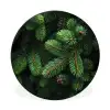 Sparrentakken - Knoppen - Naalden - Groen Wandcirkel aluminium klein -3d