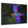 Felgekleurd - Papegaai - Bos - Vleugels Textielframe - compleet frame klein -3d