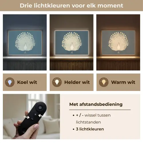 Vogel - Blauw - Vintage Light Box met batterij (Wandlamp) middel -USP_lichtkleurNL
