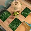 Groen - Bladeren - Kartel - Zonlicht Placemat vinyl groot -zzsfeer5_Kitchenyeah-website